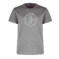 tshirt-meski-logo-duze-szary.jpg