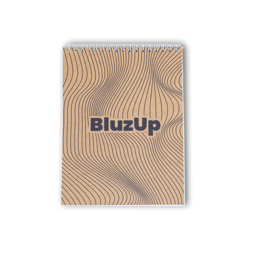 notes bluzup.png