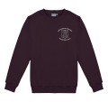 classic male logo purpurowy.jpg