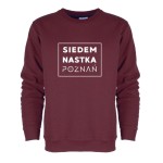 Bluza bez kaptura XVII LO w Poznaniu 