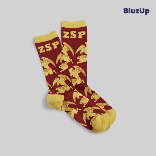 ZSP Kalisz Pomorski_skarpety_1.jpg