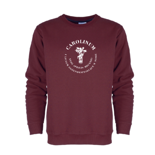 Projekt bez tytułu (43).png